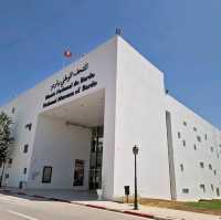 Tunis Bardo Museum's Grand Entrance! 🎨✨