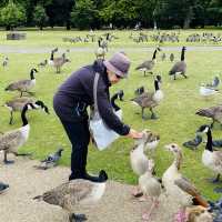 A Day in Hyde Park: London’s Urban Oasis