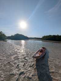 Kayaking with crocodiles in Holbox
