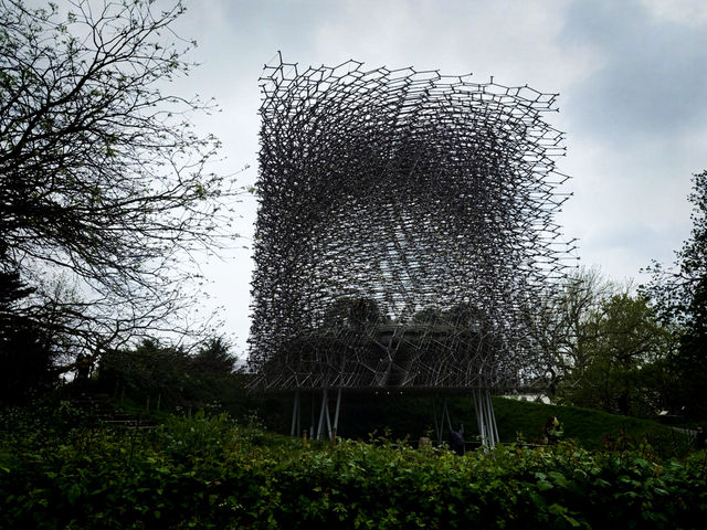 🌿 Kew Garden - London’s Botanical Wonderland