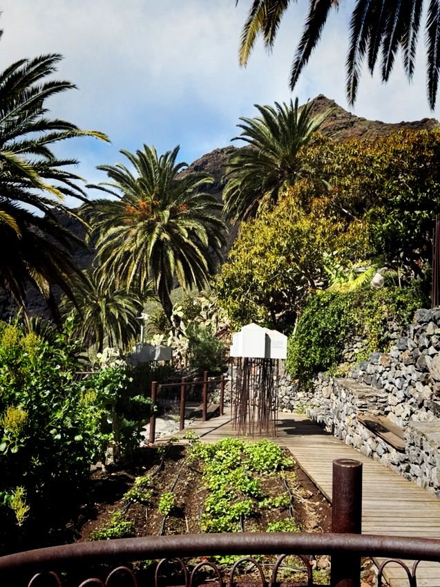 🏞️ Hidden Gem of Tenerife: The Magical Masca Village!
