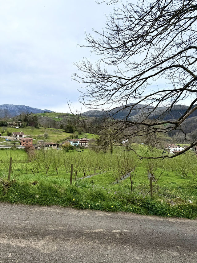 Your Perfect Day in Asturias ⛰️🌲