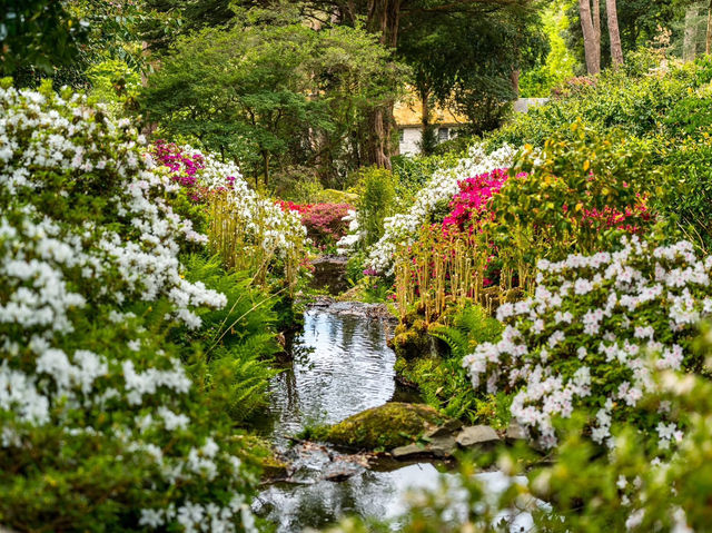 Paradise is a place on Earth! Visit Bodnam Gardens.