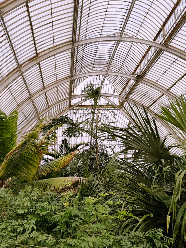 🌸 A Blooming Escape: A Day at Kew Gardens, London