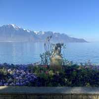 Incredible view and Swiss alpines