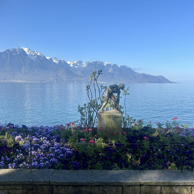 Incredible view and Swiss alpines