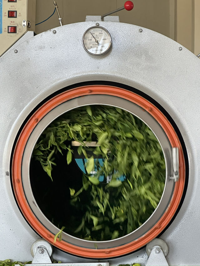Making your own tea in Georgia