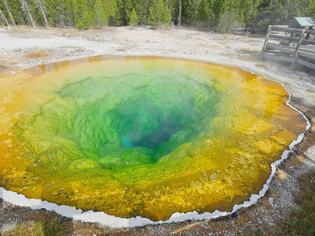 🌟 Top Landmarks to See in Yellowstone National Park 🚗💨