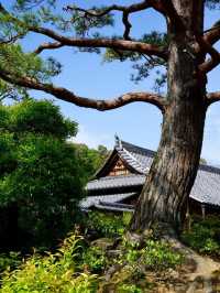 Kyoto – Timeless Beauty and Spiritual Serenity