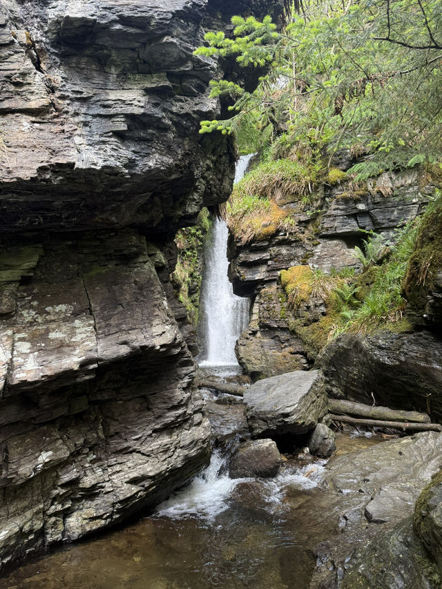 Spout force 