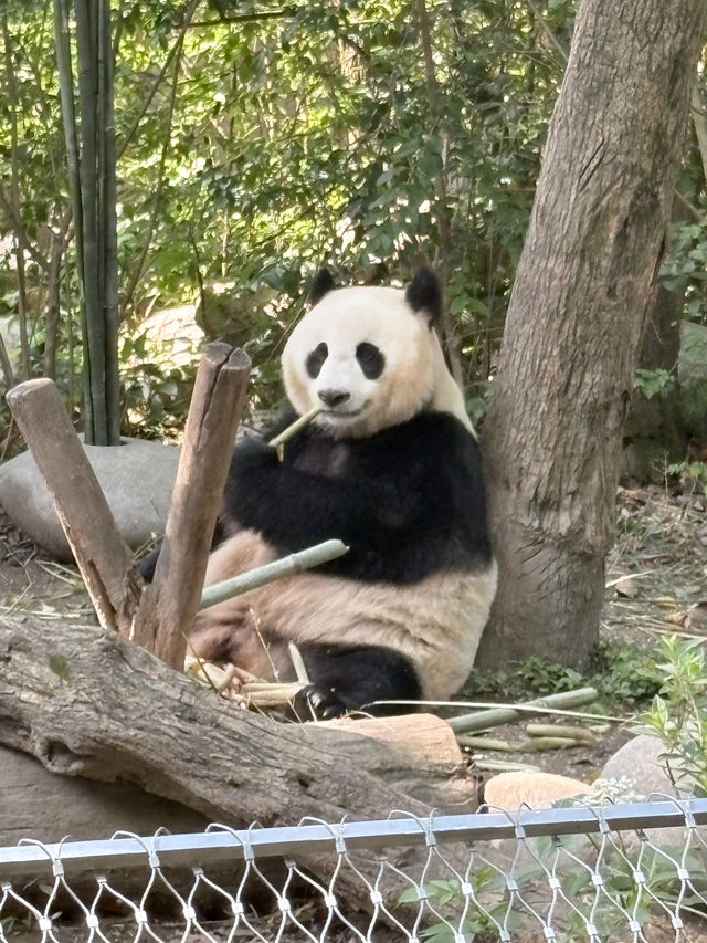 Solo female travelling in China without a guide
