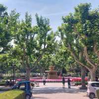 Little parks in Shanghai, little water worlds in the heart of the city