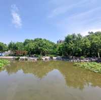 Little parks in Shanghai, little water worlds in the heart of the city
