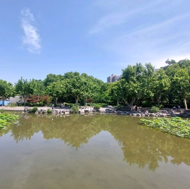 Little parks in Shanghai, little water worlds in the heart of the city