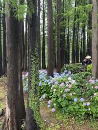 Wuxi: A Lakeside City of Beauty and Culture