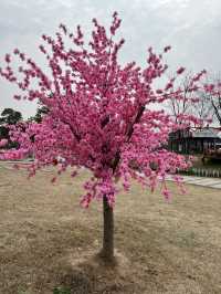 🏮🌿 Anyi Whispers: Step into Jiangxi’s 600-Year-Old Watercolor Dream!