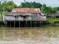 Exploring the Mekong Delta: A Peaceful Day in Cai Be Village