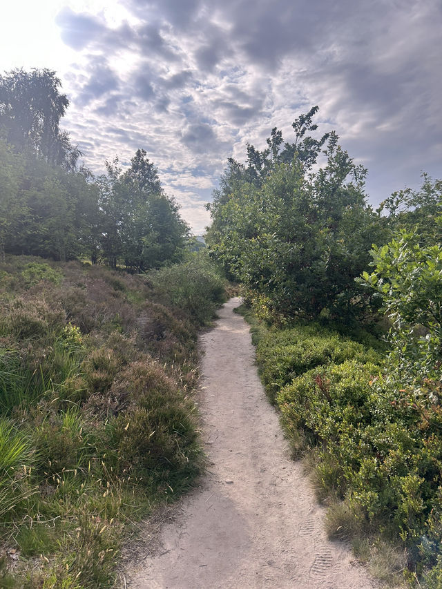 A quite and gentle stroll 