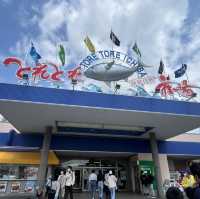 Nanki-Shirahama: A Seafood Lover’s Sacred Pilgrimage