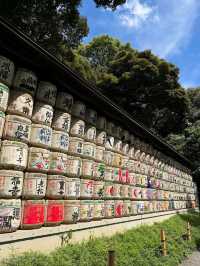 🇯🇵✨ “Tokyo on <$100: Shrines, Skylines & Konbini Eats in 2 Days”