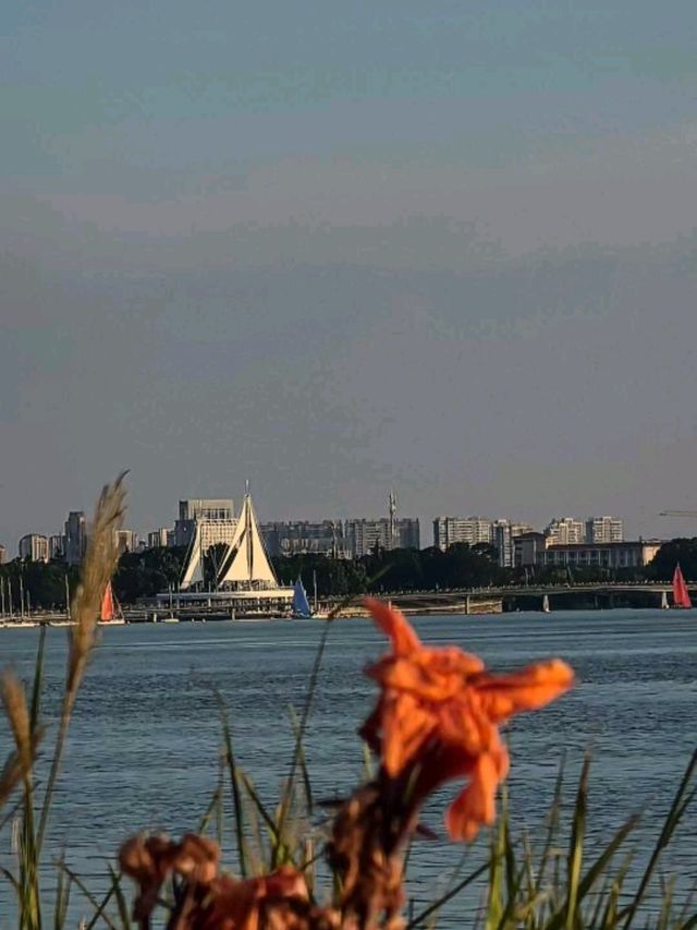 ✨ This is not London. This is Suzhou’s Golden Hour Magic ✨