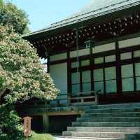 Tokyo to Kamakura: A Day Trip to Japan’s Coastal Charm