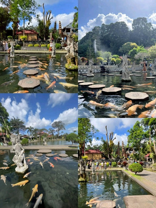 Spotlight on giant carp in the enchanting royal palace of Bali.