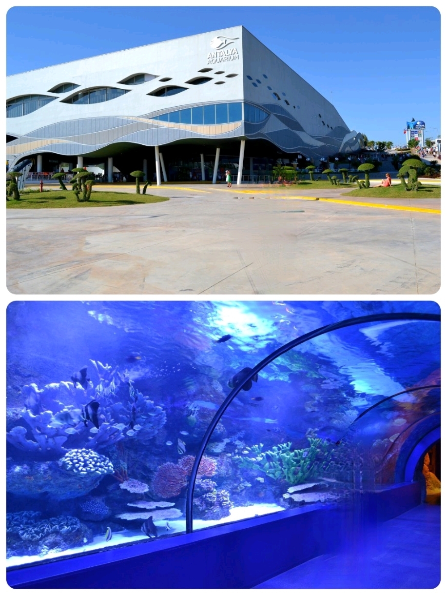 🐠 Antalya Aquarium: Underwater World in the City Center
