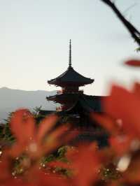 10 days in Japan 🇯🇵