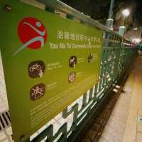Nightwalk @ Banyan Tree Head 