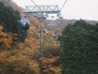 🇯🇵搭纜車遊箱根