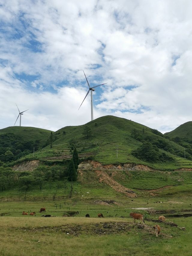 龍勝小南山｜廣西的“那拉提”，南方的呼倫貝爾