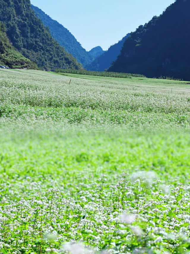 去了更望湖後才發現……