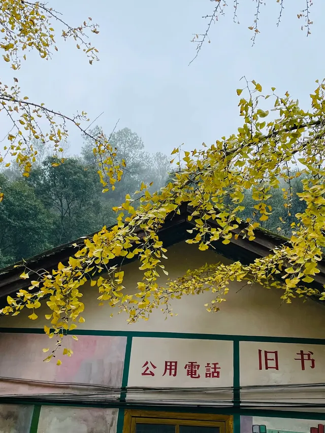 雨中的帽子峰景區