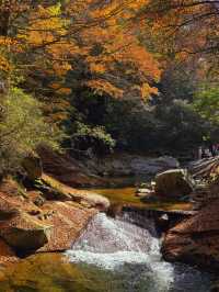 川東北旅行丨尋找四川秋日名片（十八月潭篇）