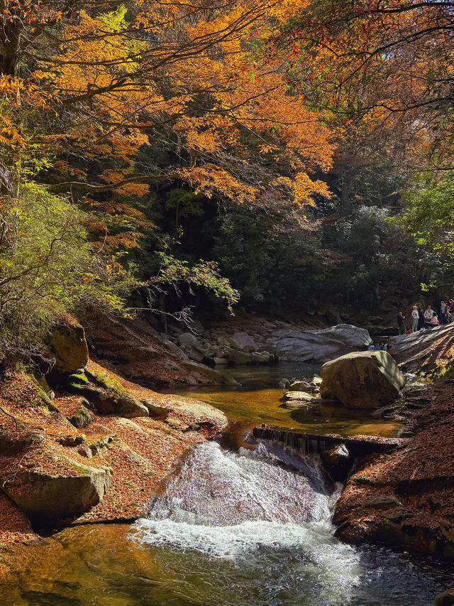 川東北旅行丨尋找四川秋日名片（十八月潭篇）