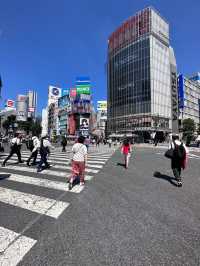 Tokyo, trip of a lifetime. A dream come true