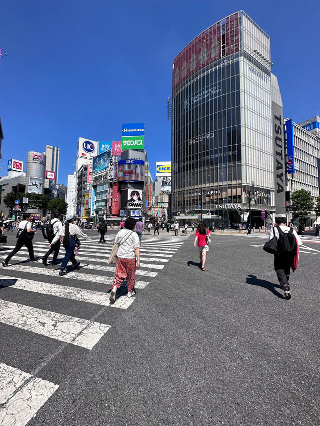 Tokyo, trip of a lifetime. A dream come true
