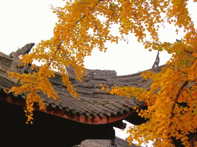 Chengdu Tourism | Daci Temple: A thousand-year-old temple hidden in the bustling city