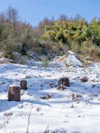原本以為浙西天池雪景已經夠美了！