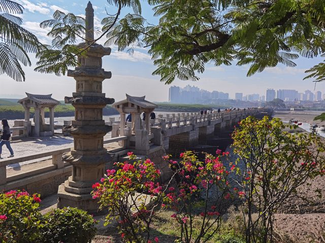 參觀泉州“洛陽橋”