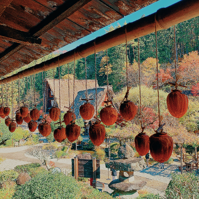 來下呂溫泉合掌村，看建築文化遺跡展示場