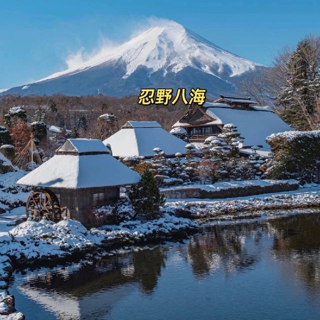  日本富士山｜終於搵齊❤️17個打卡影相📷