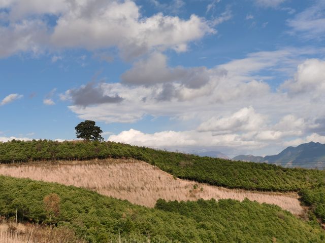 滇東南報團遊(獨品)-D4 東川紅土地