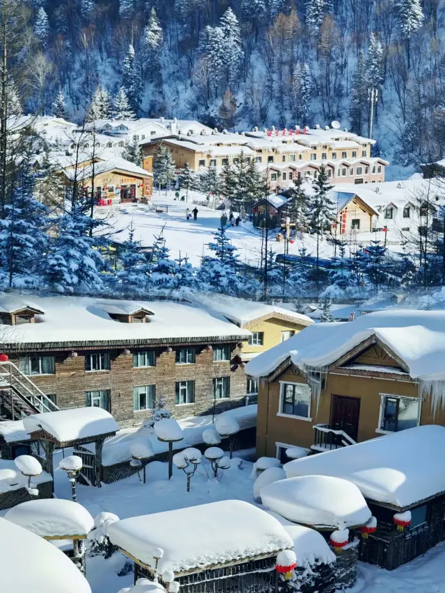 穿越林海雪原，遇見 ‖十里冰雪畫廊