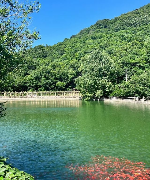 看雲海就來大黑山吧——遊玩攻略