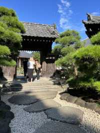 古都鎌倉，一次對中華的文化朝聖