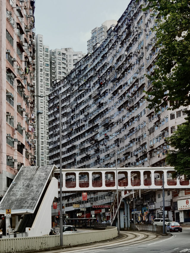 香港最有名的“老破巨” | 怪兽大厦