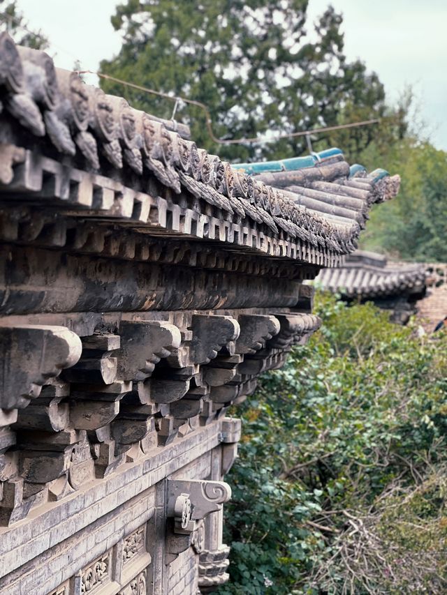 太原雙塔寺賞明代古株牡丹