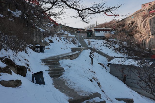 冬日泰山盛宴，美景等你來解鎖！